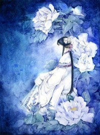 年少不知涩